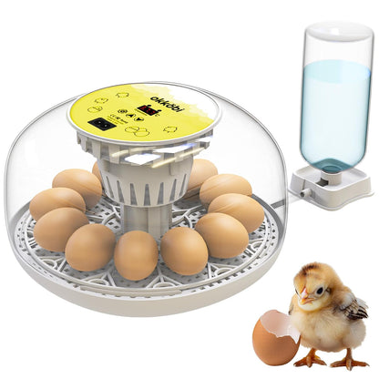 🐣 Incubator Automat OKKÖBI M12, 12 Ouă, Control Temperatură & Umiditate, 360° View