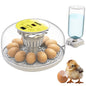 🐣 Incubator Automat OKKÖBI M12, 12 Ouă, Control Temperatură & Umiditate, 360° View