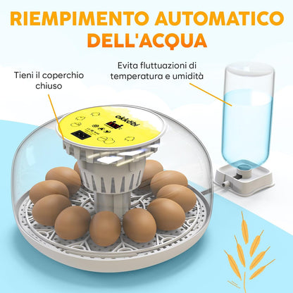 🐣 Incubator Automat OKKÖBI M12, 12 Ouă, Control Temperatură & Umiditate, 360° View