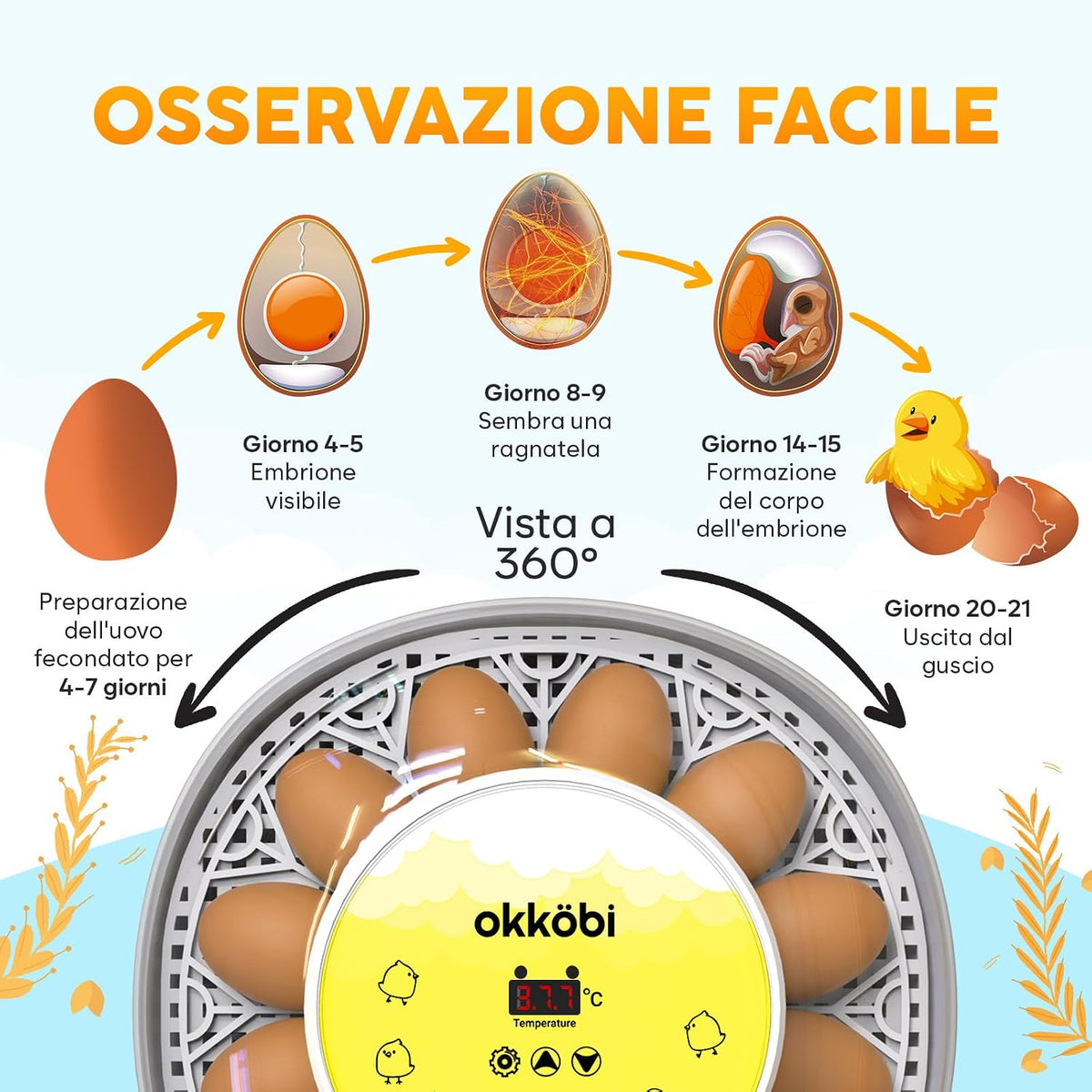 🐣 Incubator Automat OKKÖBI M12, 12 Ouă, Control Temperatură & Umiditate, 360° View