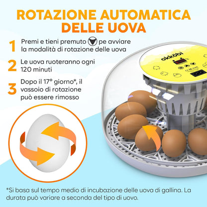 🐣 Incubator Automat OKKÖBI M12, 12 Ouă, Control Temperatură & Umiditate, 360° View