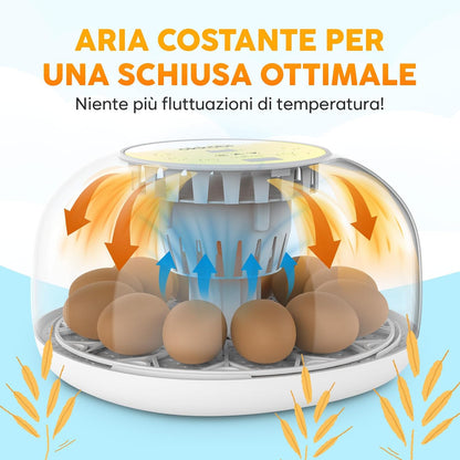 🐣 Incubator Automat OKKÖBI M12, 12 Ouă, Control Temperatură & Umiditate, 360° View